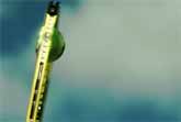 Tennis Ball Slow Motion&nbsp; (142 mph - 6000 fps)